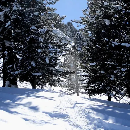 Гостевой дом Elisabeth Inkl Der Super Sommer Card Im Sommer 2026