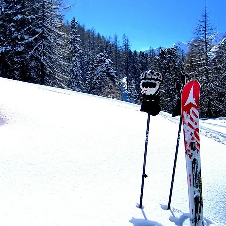 Elisabeth Inkl Der Super Sommer Card Im Sommer 2026