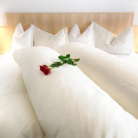 Elisabeth Inkl Der Super Sommer Card Im Sommer 2026 Гостевой дом Серфаус