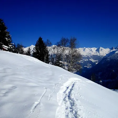 Elisabeth Inkl Der Super Sommer Card Im Sommer 2026 Casa de hóspedes 4*