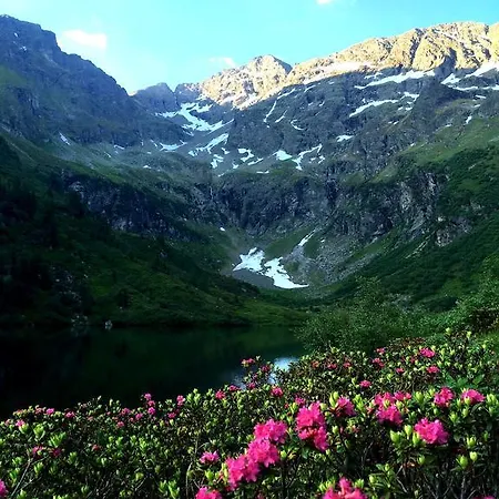 Elisabeth Inkl Der Super Sommer Card Im Sommer 2026 4* Серфаус