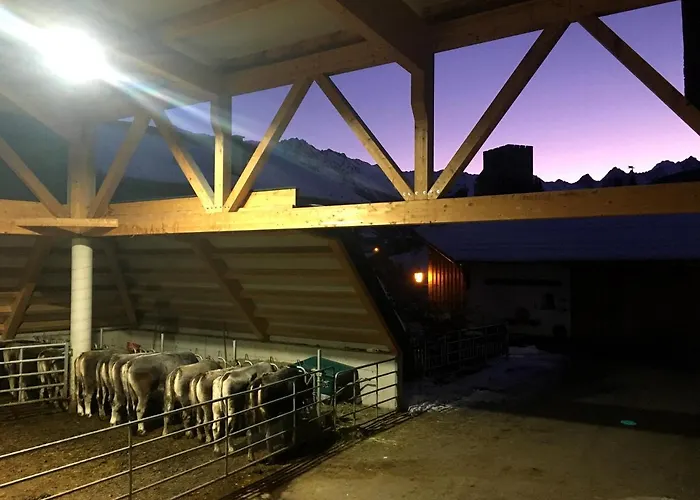 Elisabeth Inkl Der Super Sommer Card Im Sommer 2026 4* Serfaus