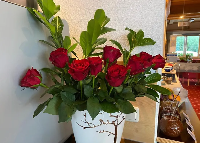 Elisabeth Inkl Der Super Sommer Card Im Sommer 2026 Pensión