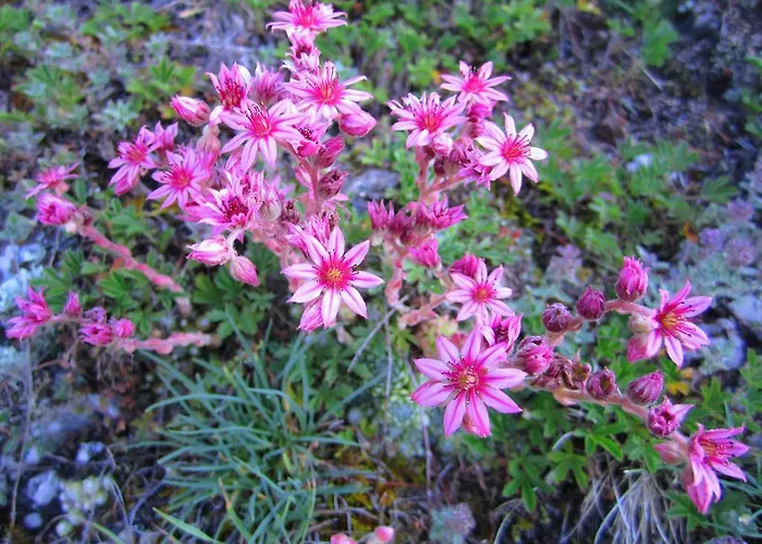 Elisabeth Inkl Der Super Sommer Card Im Sommer 2026