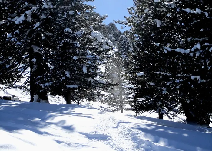 Pensión Elisabeth Inkl Der Super Sommer Card Im Sommer 2026