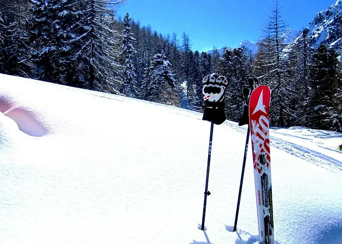 Elisabeth Inkl Der Super Sommer Card Im Sommer 2026