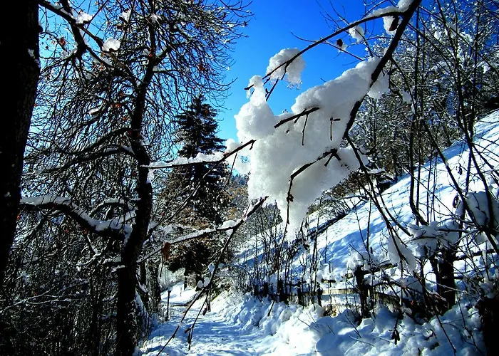 Elisabeth Inkl Der Super Sommer Card Im Sommer 2026 4* Serfaus