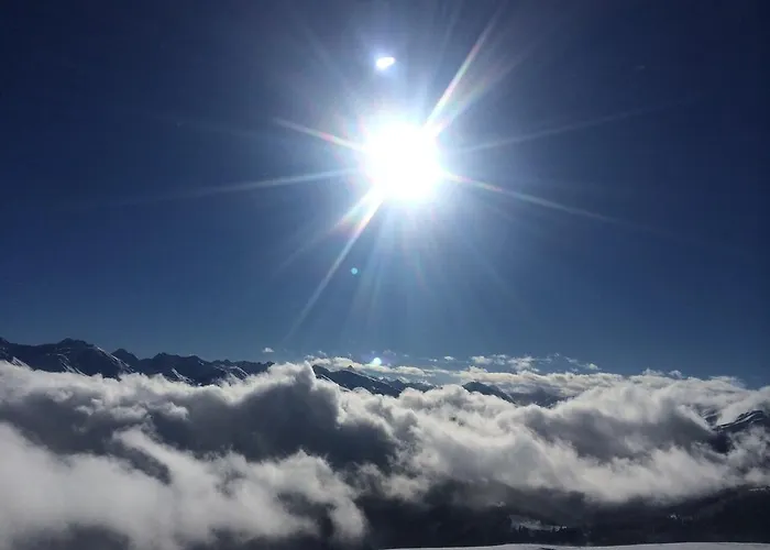 Elisabeth Inkl Der Super Sommer Card Im Sommer 2026