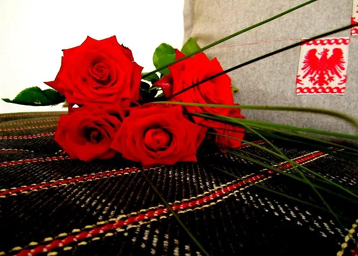 Elisabeth Inkl Der Super Sommer Card Im Sommer 2026