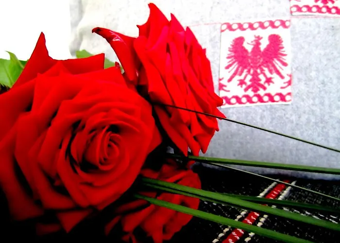 Elisabeth Inkl Der Super Sommer Card Im Sommer 2026 Serfaus