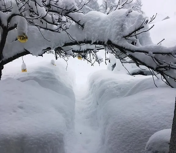 Elisabeth Inkl Der Super Sommer Card Im Sommer 2026 4* Serfaus