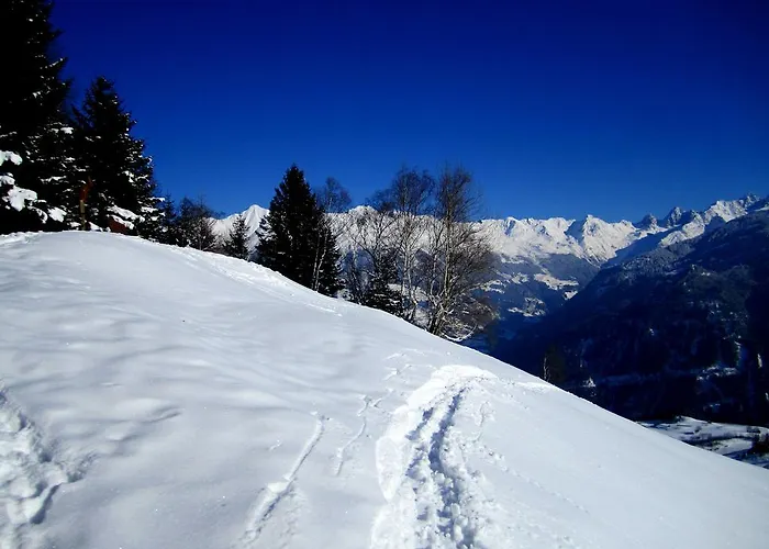 Elisabeth Inkl Der Super Sommer Card Im Sommer 2026 Pensión 4*