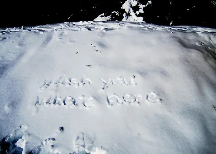 Elisabeth Inkl Der Super Sommer Card Im Sommer 2026 Pensión Serfaus