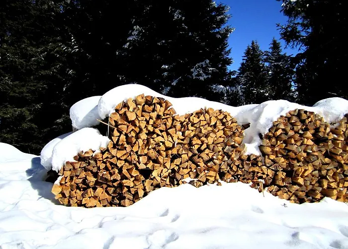 Pensión Elisabeth Inkl Der Super Sommer Card Im Sommer 2026 4*