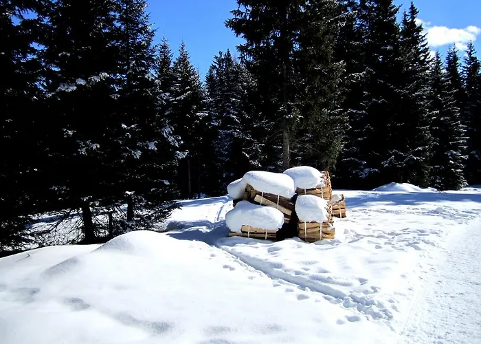 Elisabeth Inkl Der Super Sommer Card Im Sommer 2026 4* Serfaus