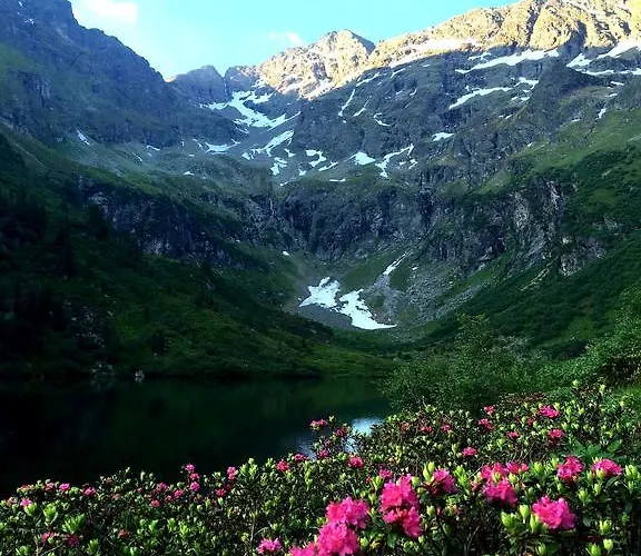 Elisabeth Inkl Der Super Sommer Card Im Sommer 2026 4* Serfaus