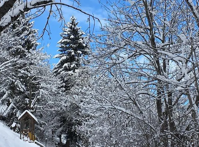 Elisabeth Inkl Der Super Sommer Card Im Sommer 2026 Serfaus