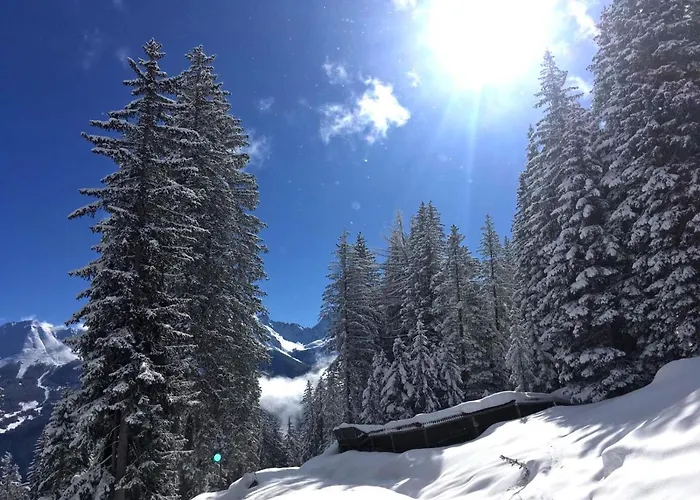 Elisabeth Inkl Der Super Sommer Card Im Sommer 2026 4* Serfaus