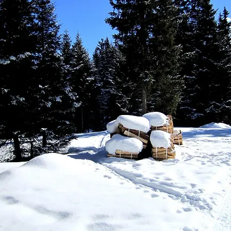Elisabeth 4* Serfaus