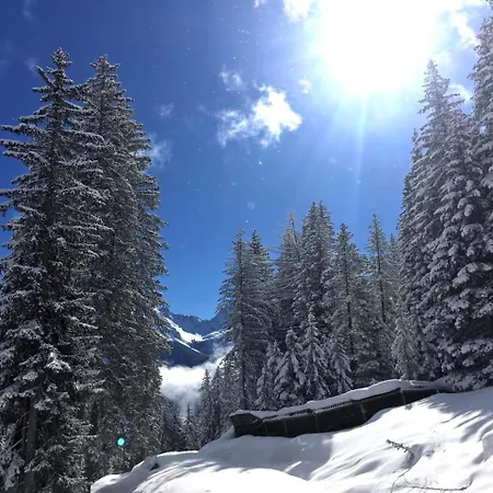 Elisabeth 4* Serfaus