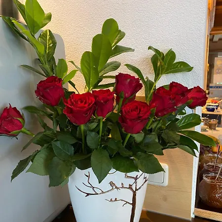 Elisabeth Inkl Der Super Sommer Card Im Sommer 2026 בית הארחה