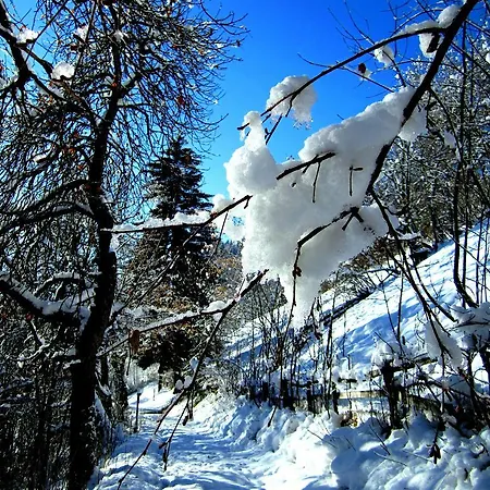 Elisabeth Inkl Der Super Sommer Card Im Sommer 2026 4* סרפהאוס