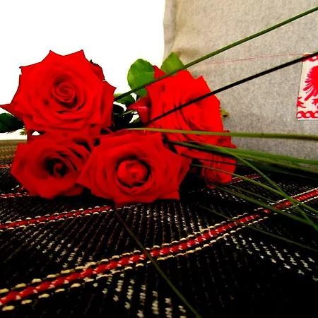 Elisabeth Inkl Der Super Sommer Card Im Sommer 2026