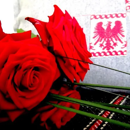 Elisabeth Inkl Der Super Sommer Card Im Sommer 2026 סרפהאוס