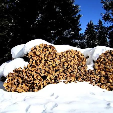 בית הארחה Elisabeth Inkl Der Super Sommer Card Im Sommer 2026 4*