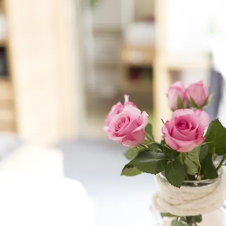 בית הארחה Elisabeth Inkl Der Super Sommer Card Im Sommer 2026 סרפהאוס