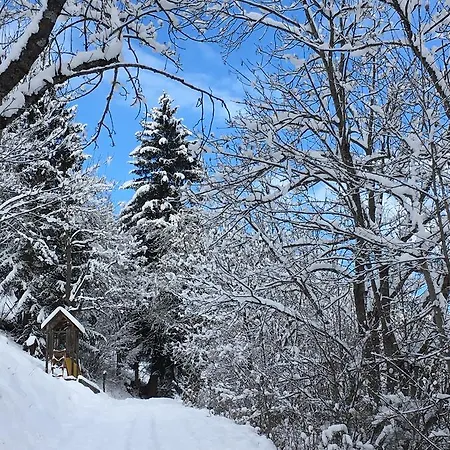 Elisabeth Inkl Der Super Sommer Card Im Sommer 2026 סרפהאוס