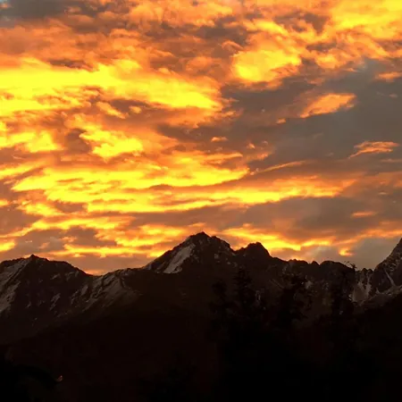 Elisabeth Inkl Der Super Sommer Card Im Sommer 2026 בית הארחה 4*